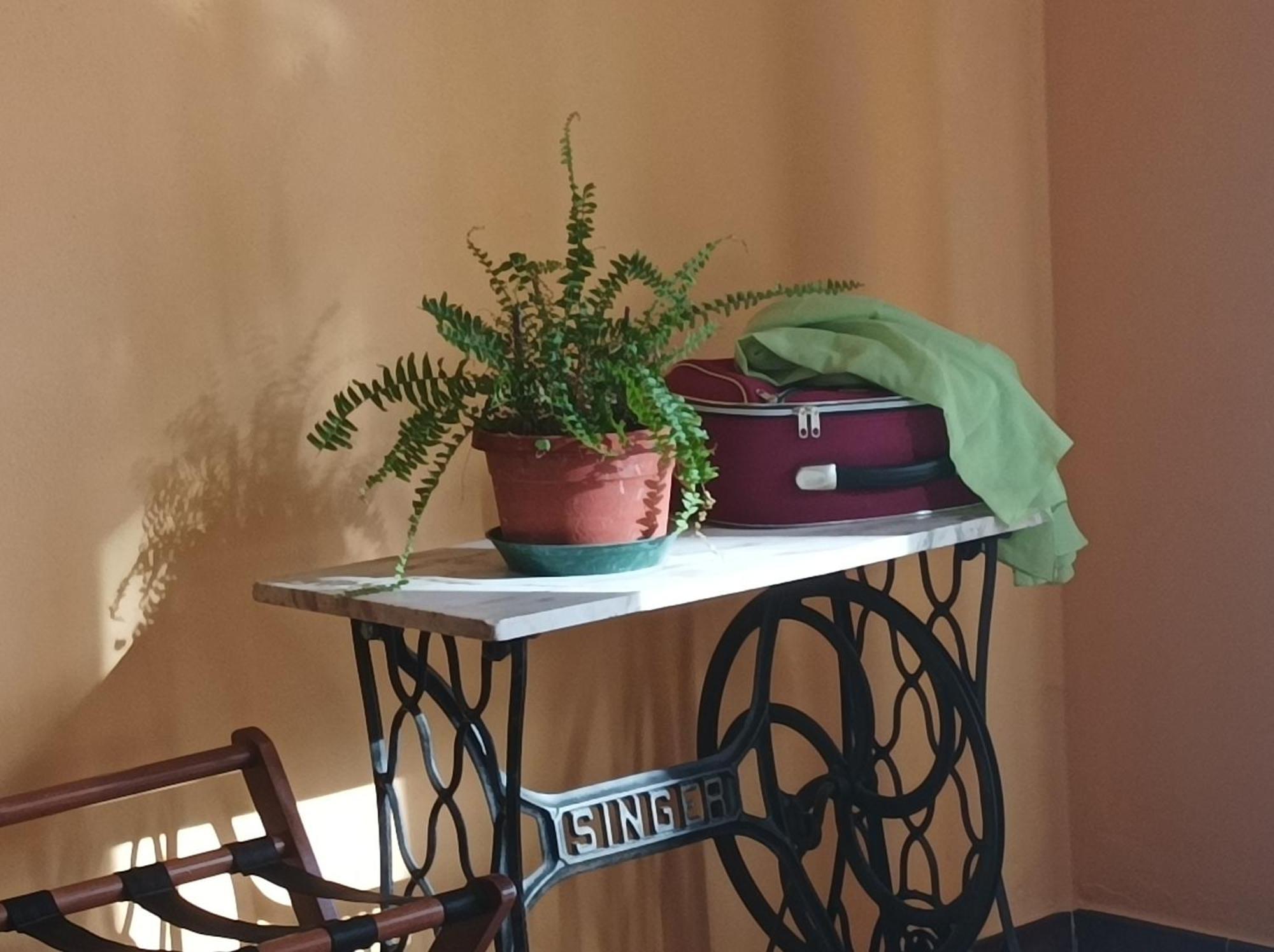 Bed And Breakfast Da Pio Castello  외부 사진