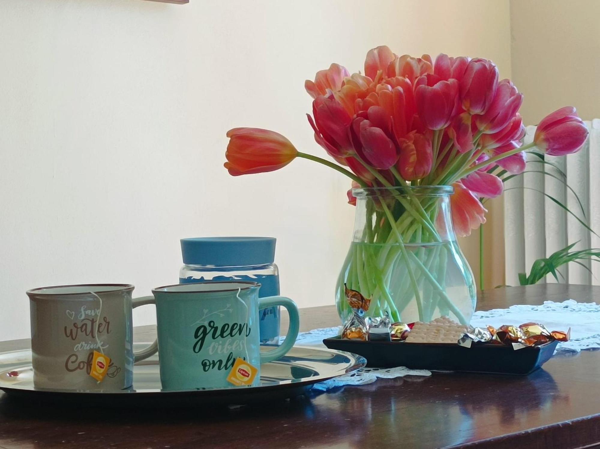 Bed And Breakfast Da Pio Castello  외부 사진