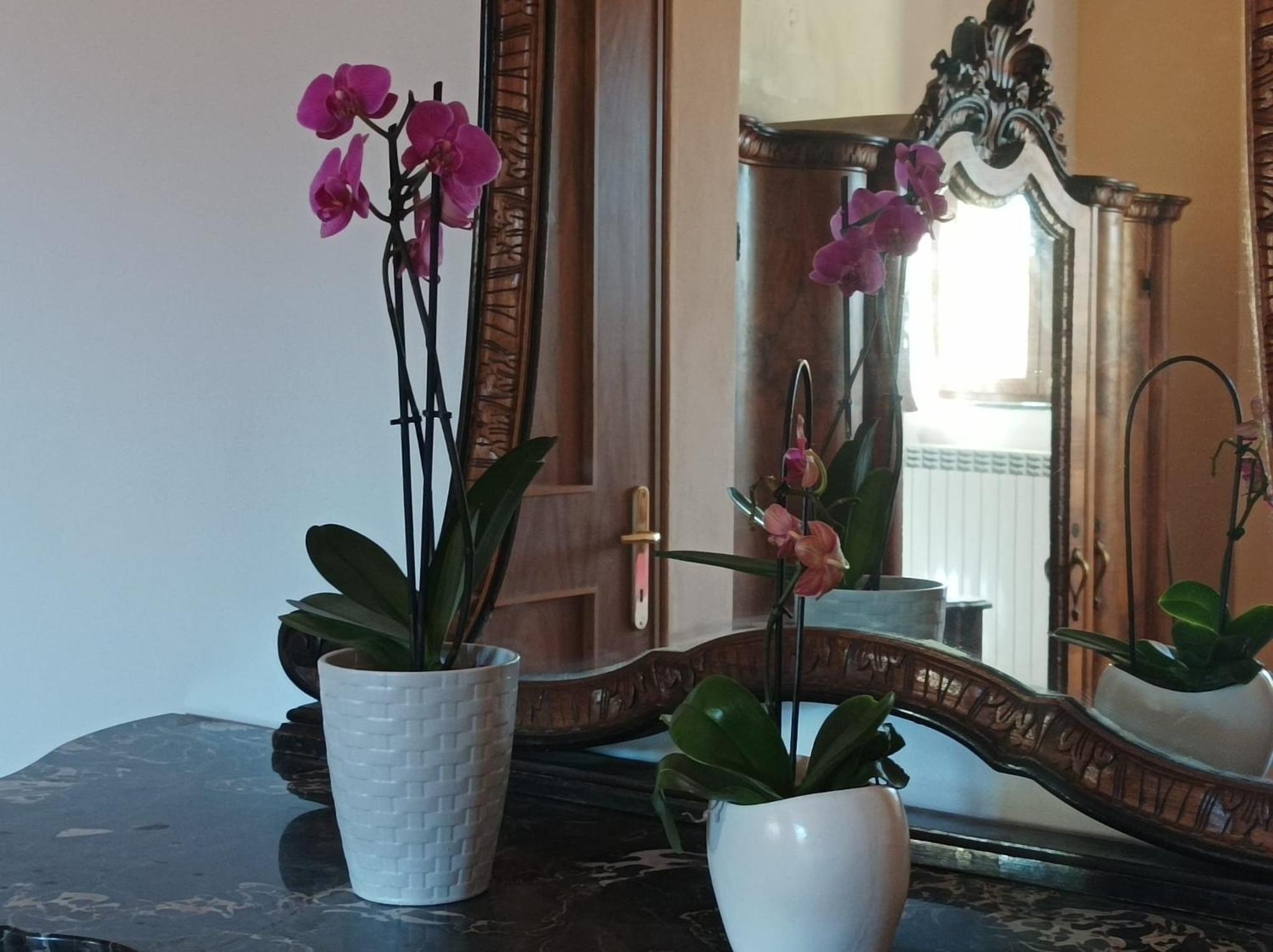 Bed And Breakfast Da Pio Castello  외부 사진